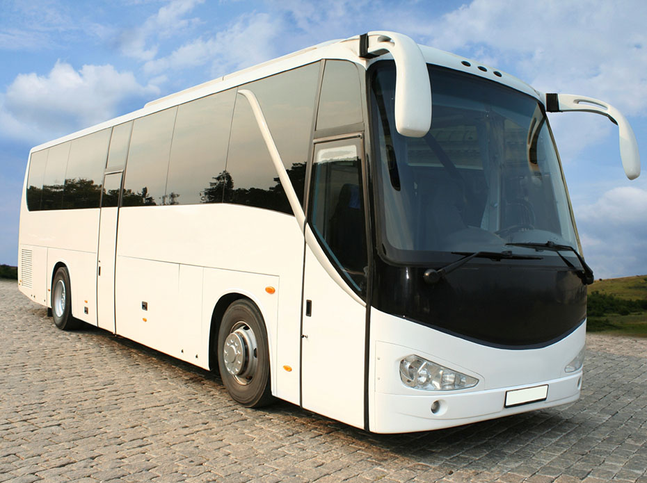 White bus