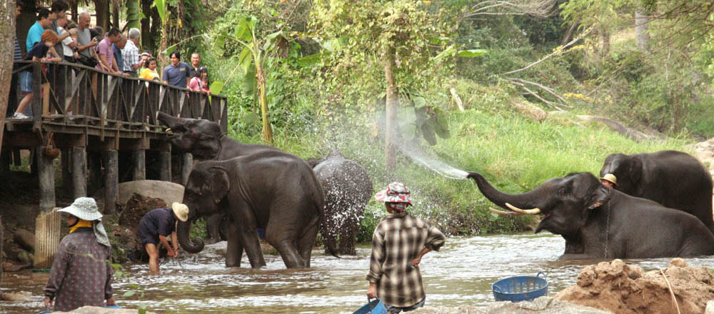 The Top Reasons to Vacation in Chiang Mai post thumbnail image
