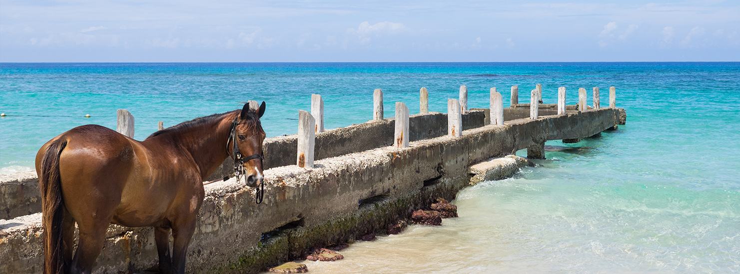 Jamaica