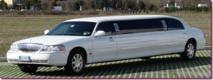 limousine 53